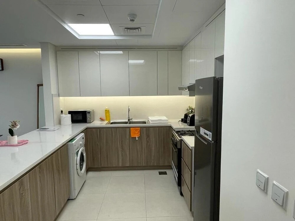 315 Fully furnished 1BHK Apartment