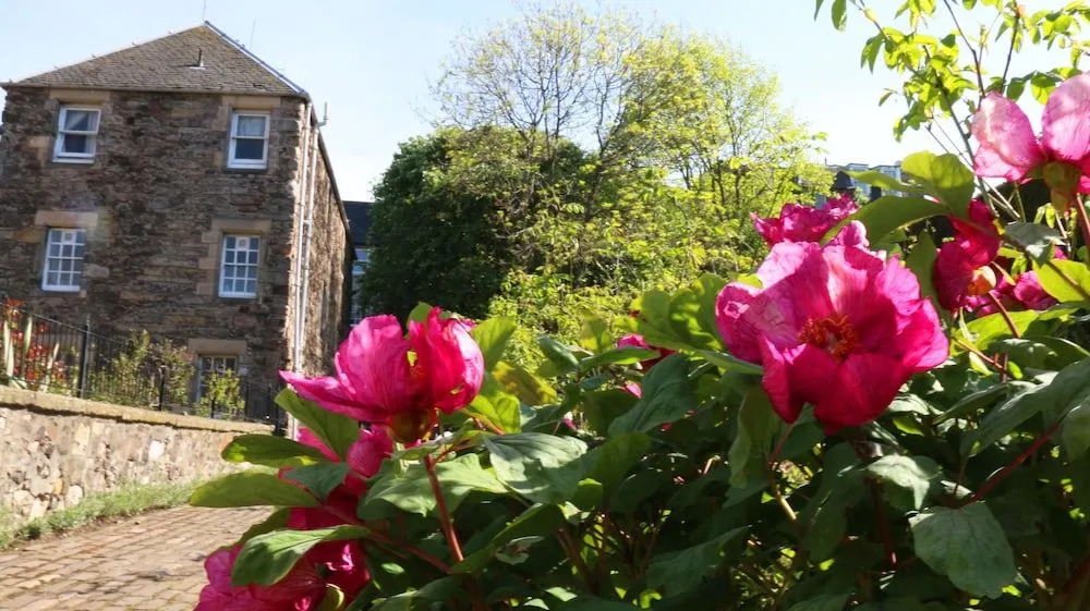 Cadell House Apt - Royal Mile