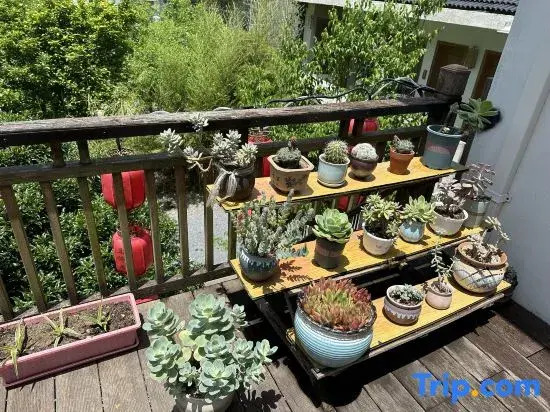 Qietingju Homestay
