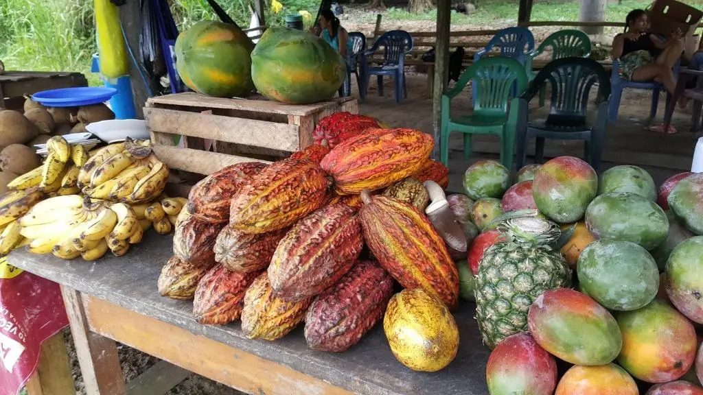 Hostal Maravilla Amazonica