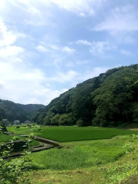 HOSHIYAMA - Vacation STAY 08356v