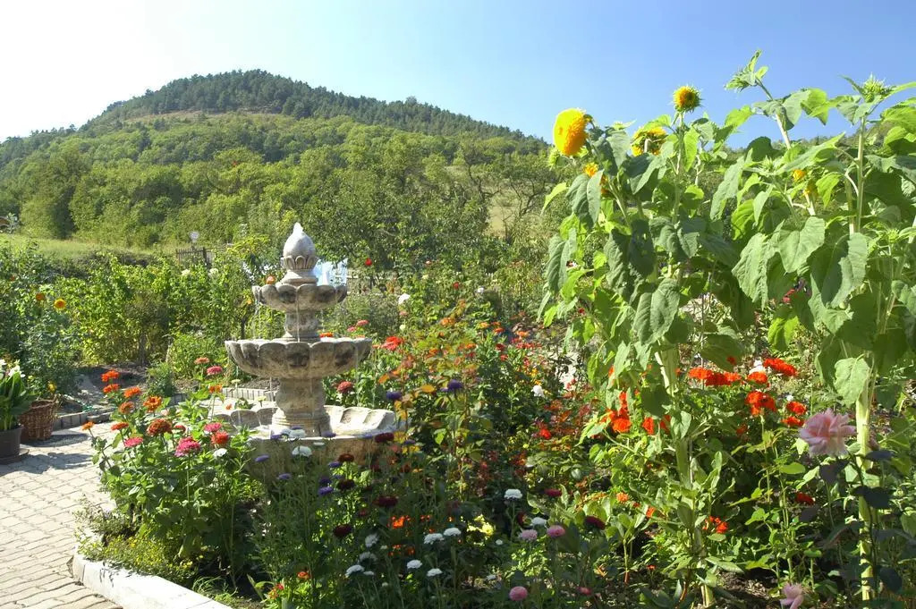 Hotel Haus Orchideental Jena