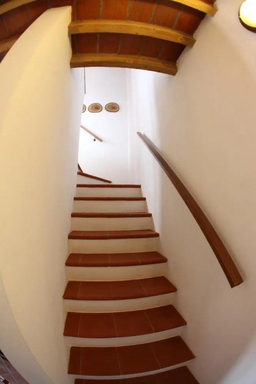 B&B Stradivari