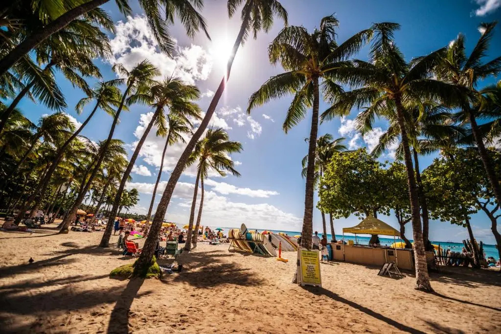Beautiful Studio in the Aloha Surf in Waikiki with City Views - 8th Floor - WiFi