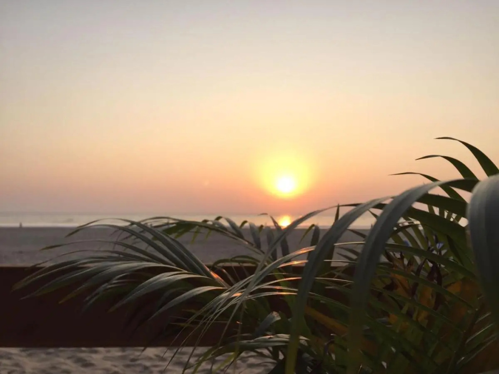 Anantra Sea View Resort