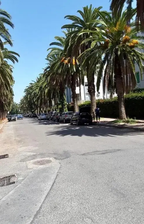 Appartement Miramar