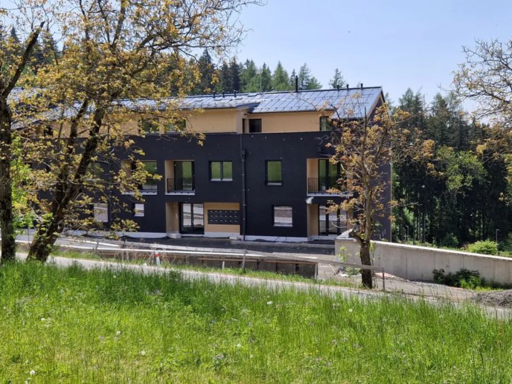 Villa near Ski Resort Cerny Dul