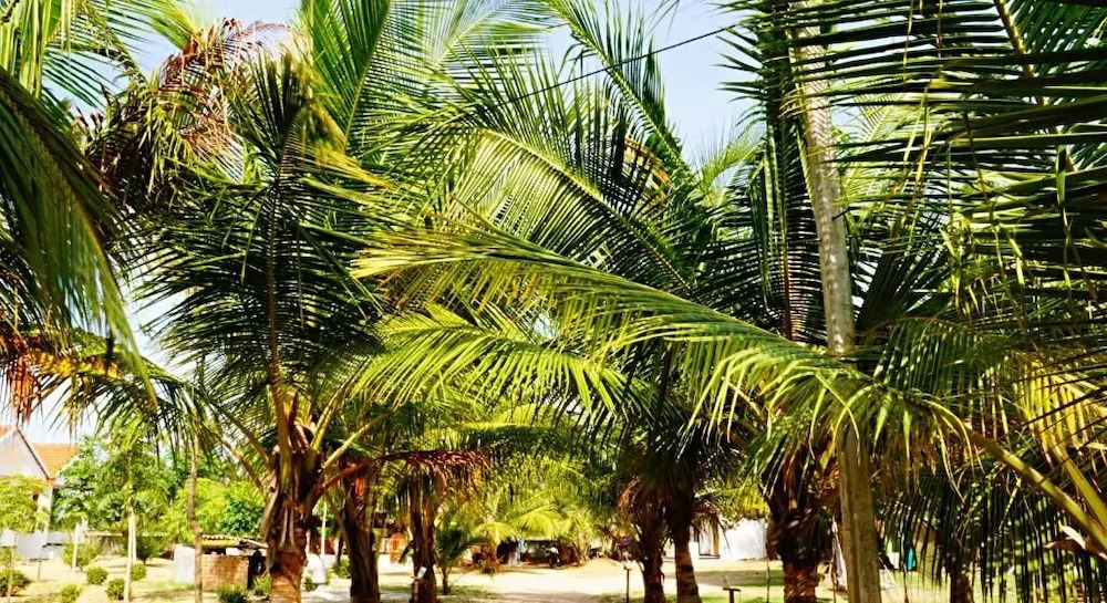 Deens cabanas