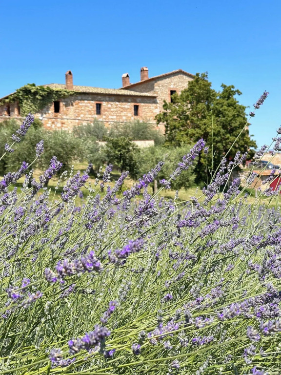 LaChiusa Tuscany