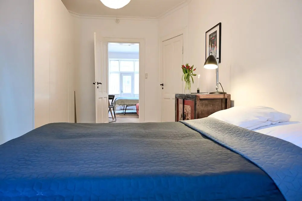 Lovely One-bedroom Apartment Located in the Vibrant Area Copenhagen Vesterbro