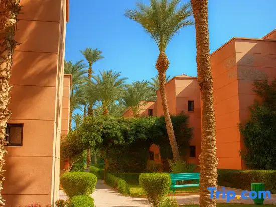 Riad Amirkesh and Pool
