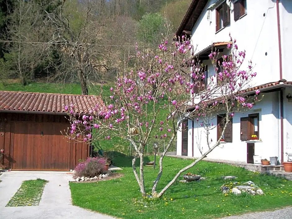 B&B IN FATTORIA