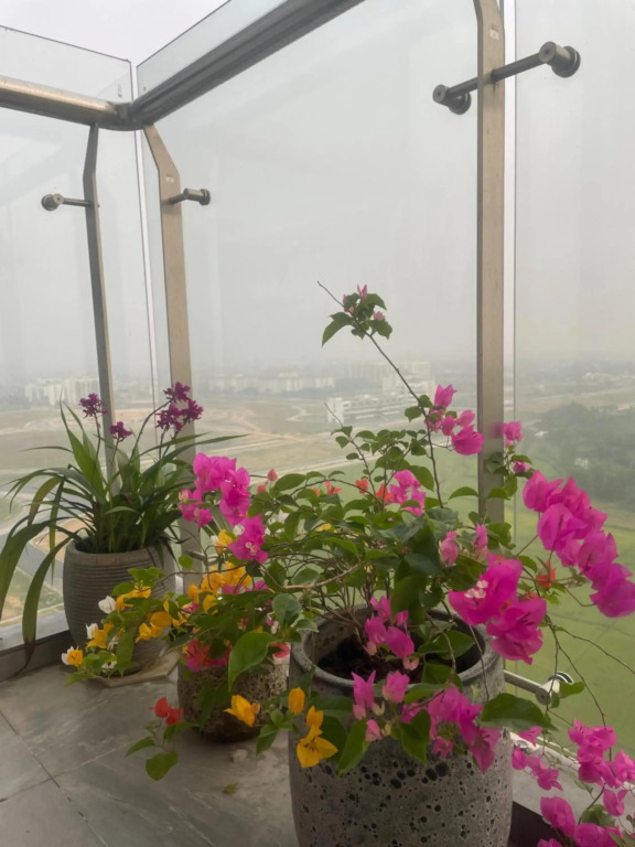 Domi Homestay Nera Garden Huế