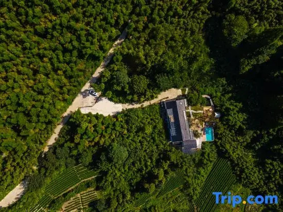 YoLo Qingdie Wu·Linya Yunshu B&B