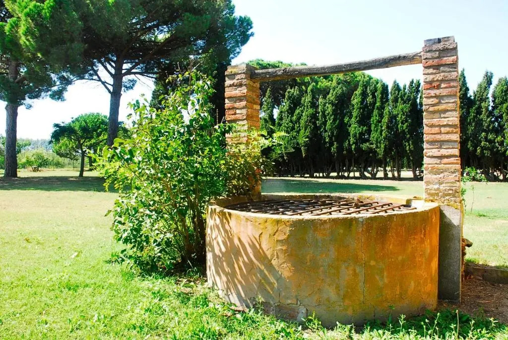 Casa Mas Dels Noguers