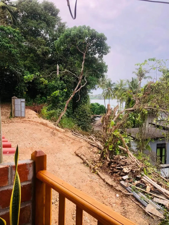 Jungle Beach Inn