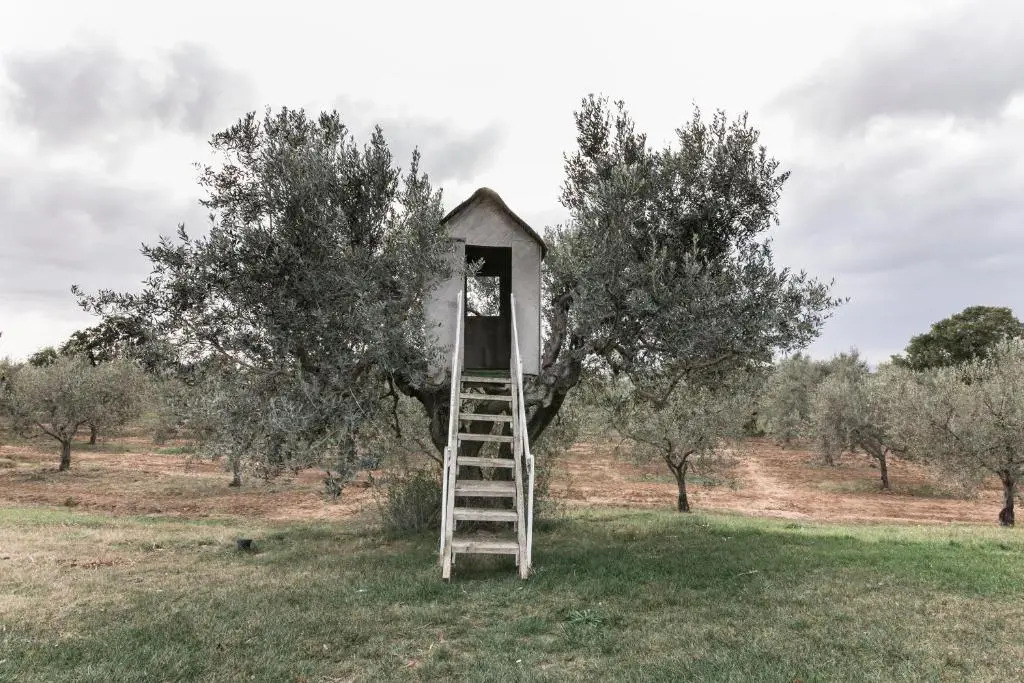 Agriturismo Podere LAgave