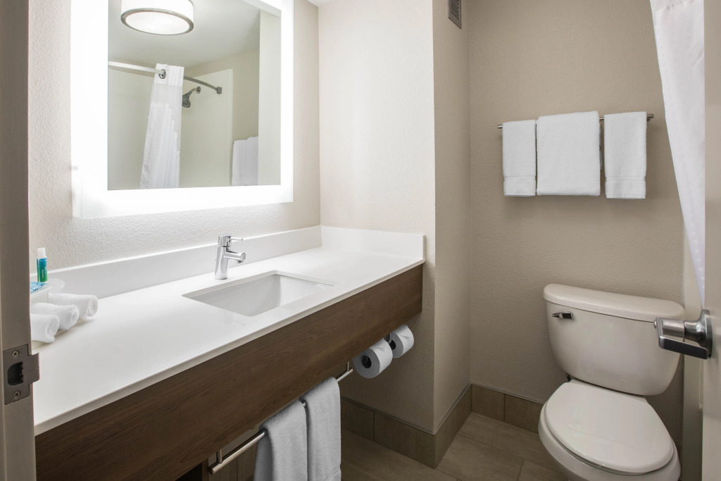Holiday Inn Express & Suites Ludington by IHG