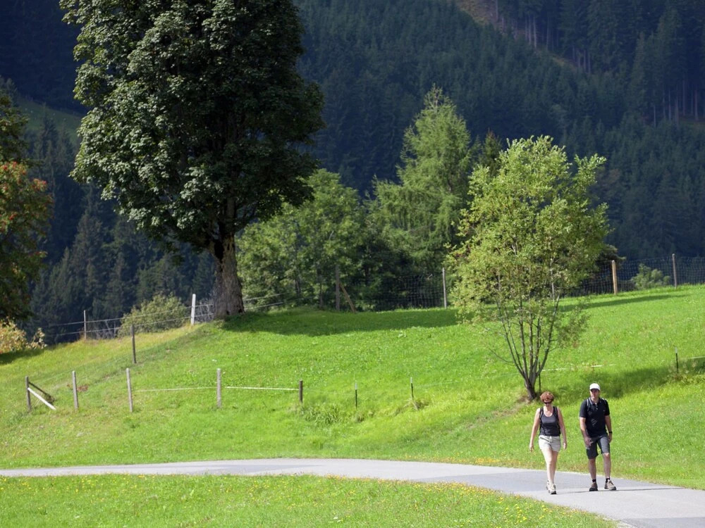 Majestic Apartment near Ski Area in Saalbach-Hinterglemm
