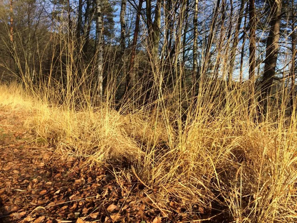 Un gîte dans la vallée