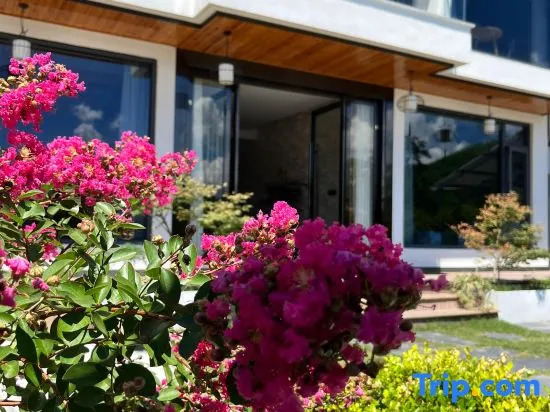 Sitting Forget·Shanyun Homestay (Anji Canglong Baipu Branch)