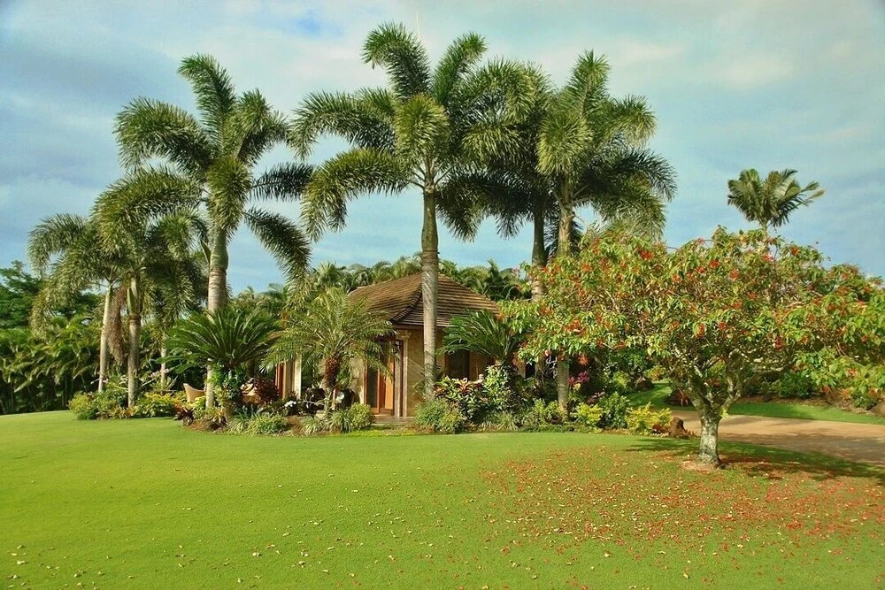 Hale Nanea Home