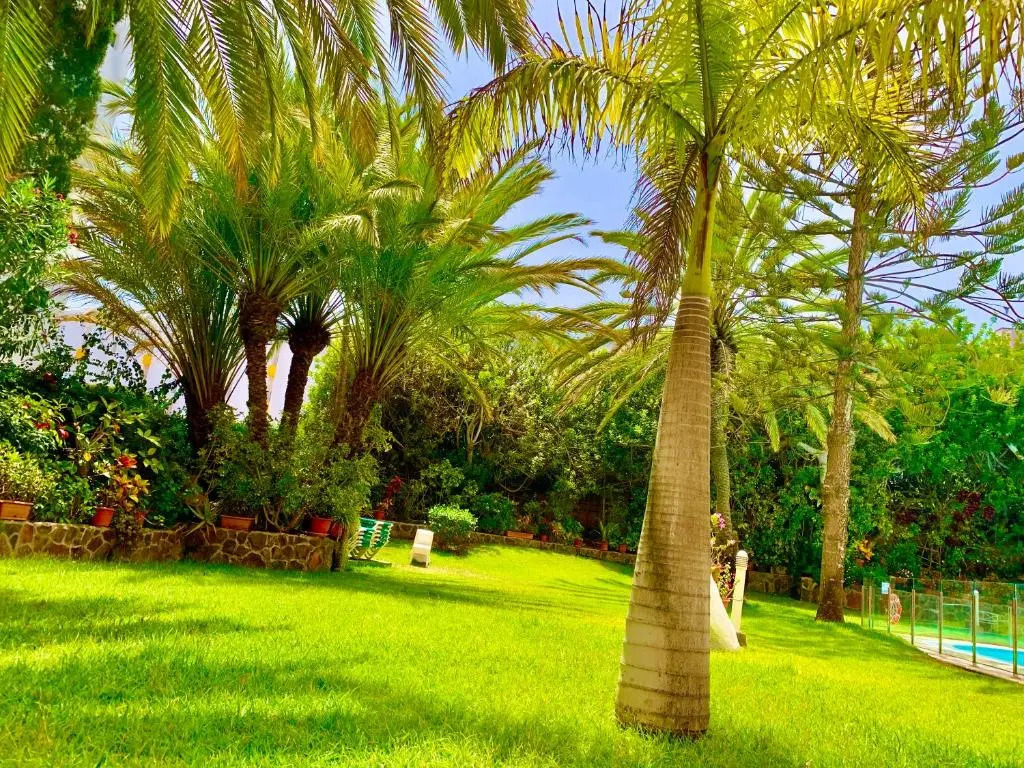 wonderful, lovely & quiet studio in playa del Inglés - WiFi free