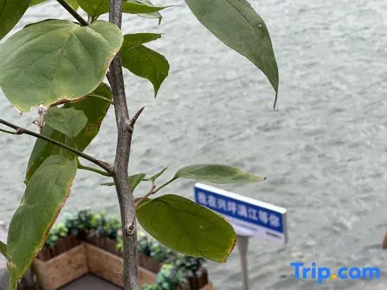 Yangshuo • Suxijian | Video Music River View Room Custom Elegant Residence (20 Yuan Scenic Area)