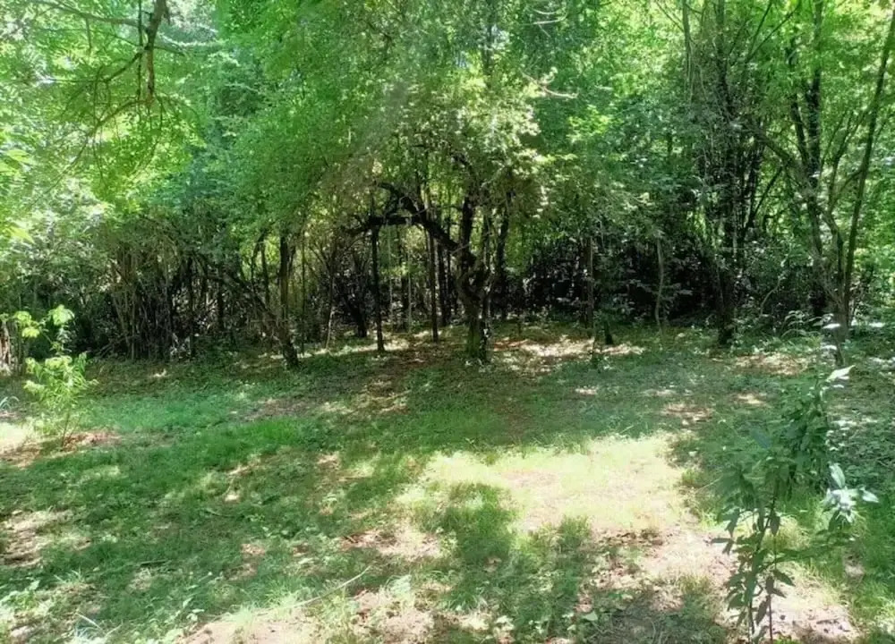 Cevennes View Retreat in Molieres