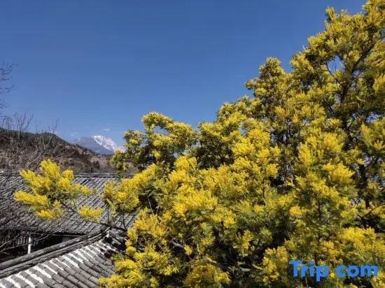 Lijiang Ruixi Xijianshu Yinluxury Fragrance Hotel