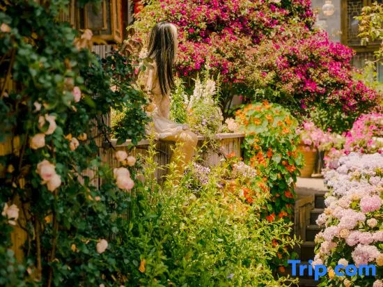 Ting Hua • 360° Ancient Town View Resort (Lijiang Ancient Town Branch)
