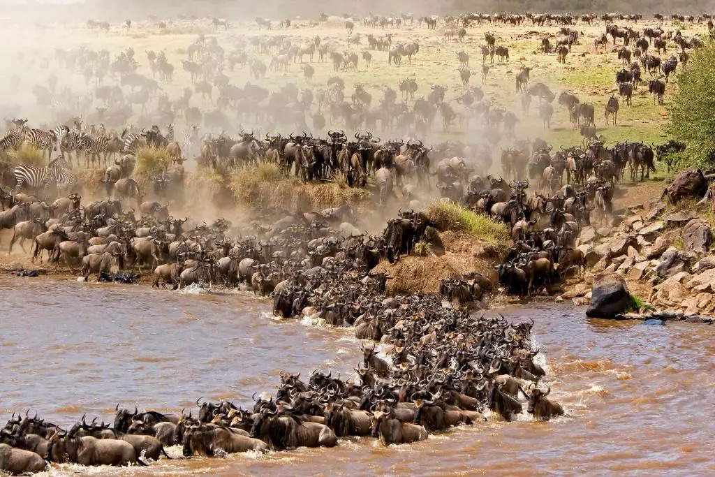 Mara Intrepids Tented Camp