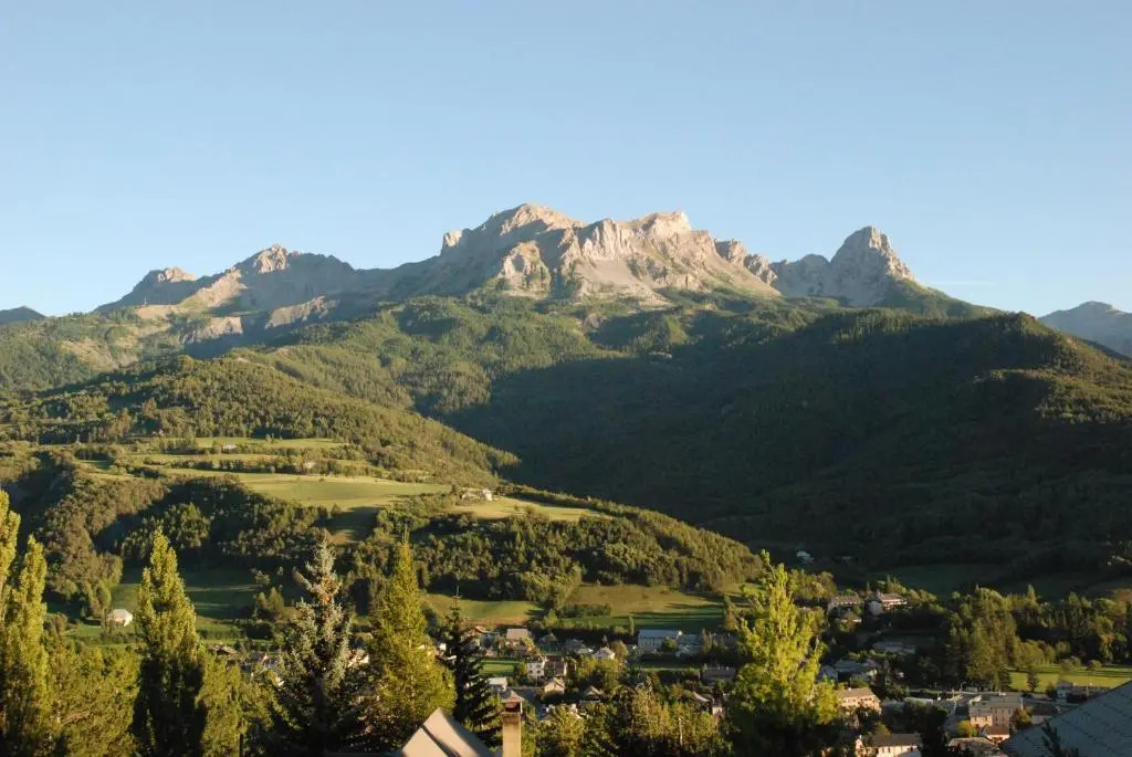 Panoramic 19