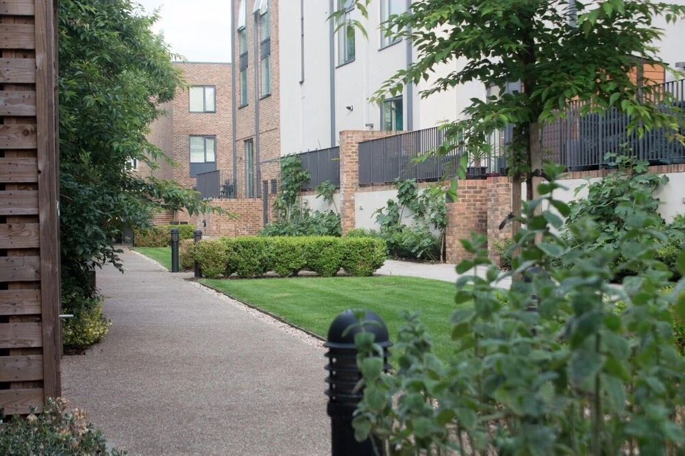 Novus Apartments