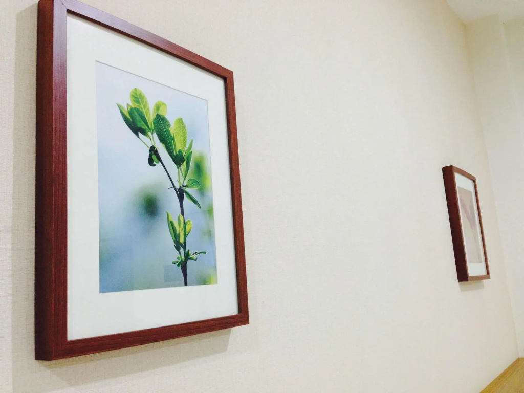 Menteng House