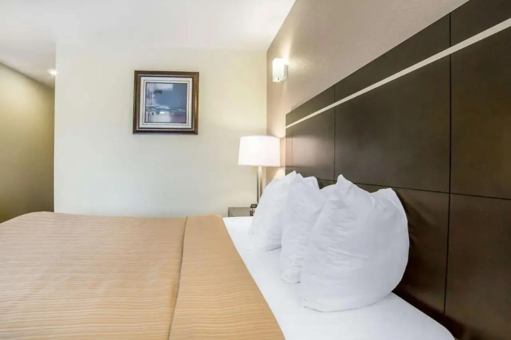 Econo Lodge Inn And Suites