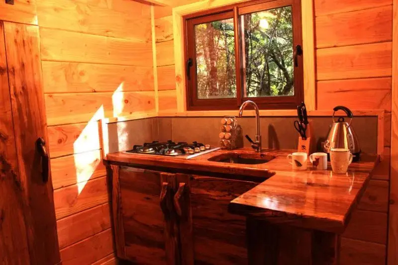 Cabañas Bosque Milenario