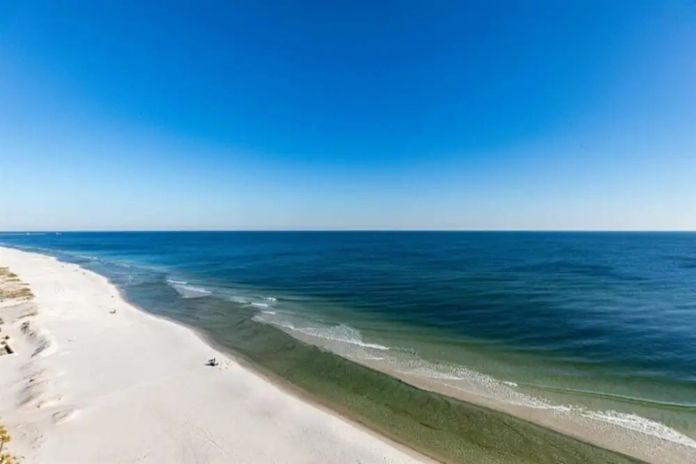 Island Royale P502 by Meyer Vacation Rentals