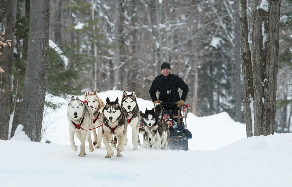 Vantage Point Villas at Stratton Mountain Resort