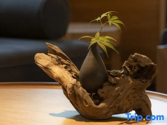Yebo Qinhuai Water Street Hotel (Nanjing Confucius Temple)