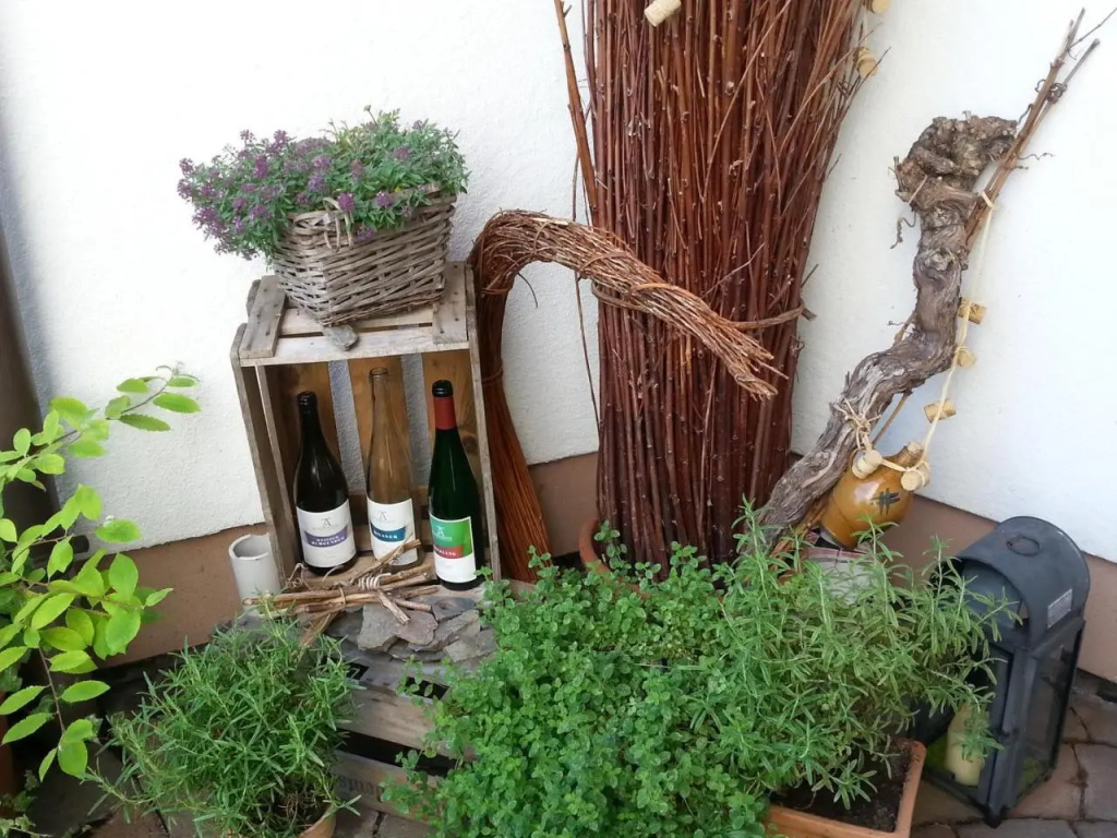 Ferienwohnung Weingut KDM