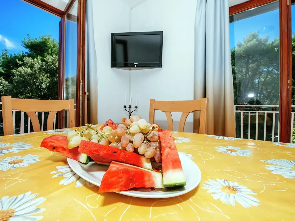 Apartment in Dalmatia With Terrace