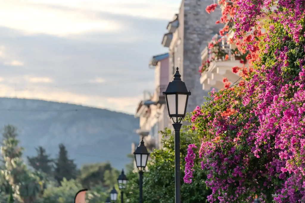 Amalie Suites