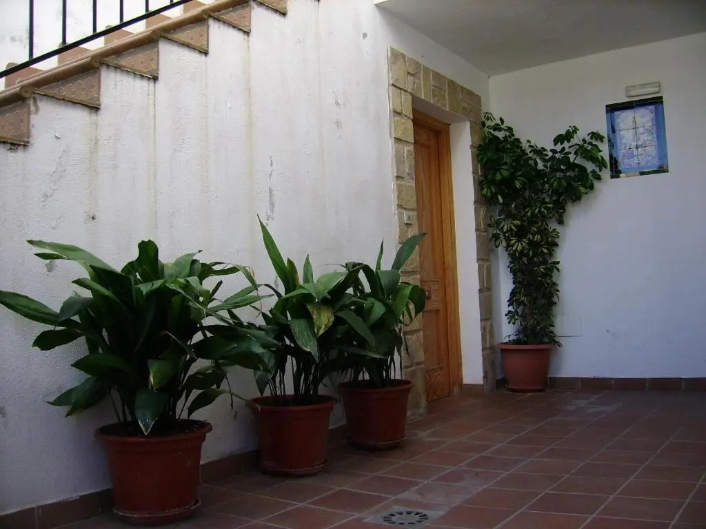 Los Olivos