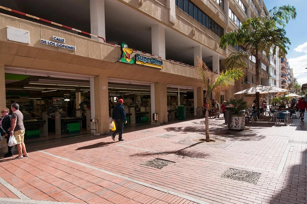 Apartment Las Canteras Nautilus 8D by VillaGranCanaria