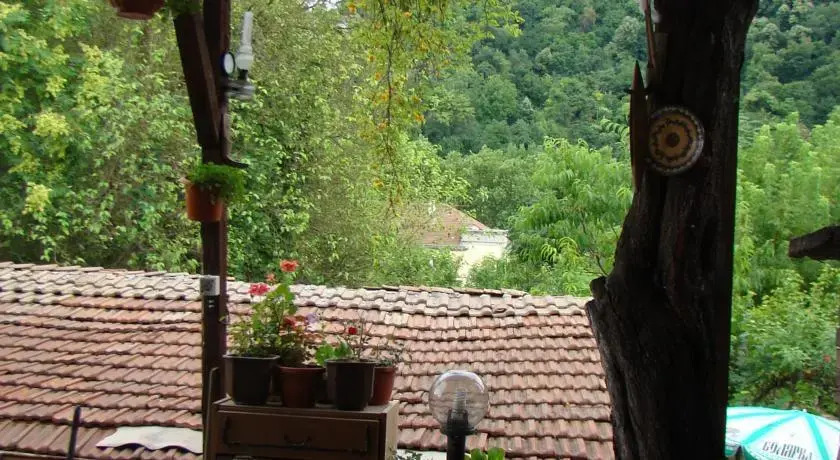 Guest House Selin