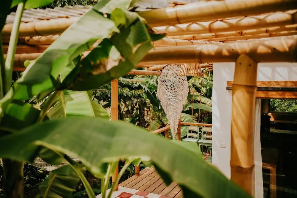 The Seed Habitat
