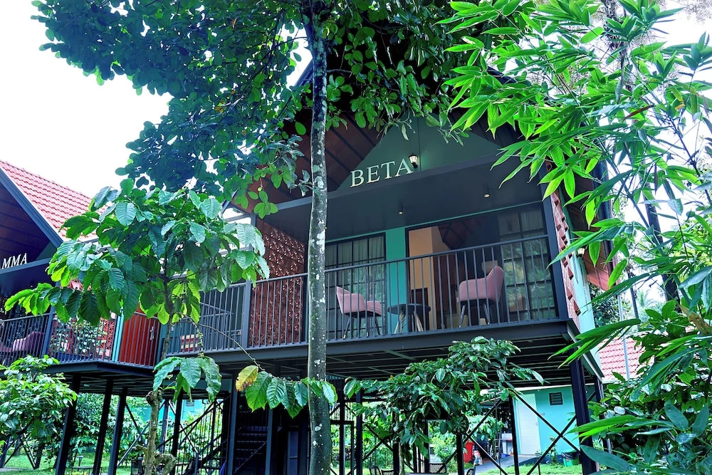 Bay View Suites, Vythiri, Wayanad