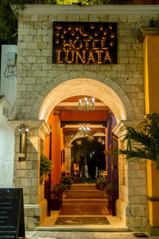 Hostal MX 5th Avenue - Hostel