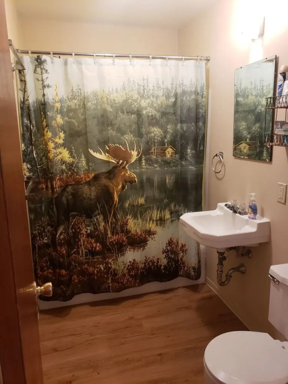 lazy bear cabins